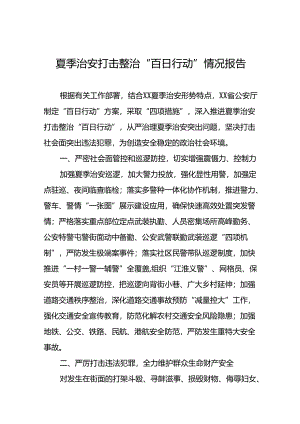 公安推进夏季治安打击整治“百日行动”总结8篇.docx