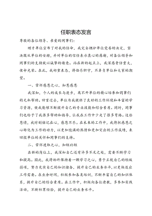 任职表态发言.docx