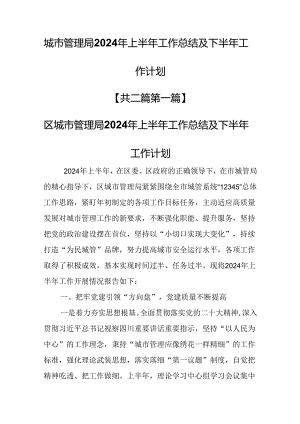 （2篇）城市管理局2024年上半年工作总结及下半年工作计划.docx