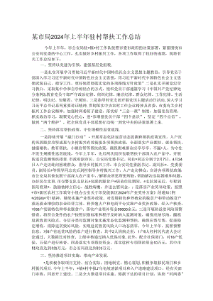 某市局2024年上半年驻村帮扶工作总结.docx