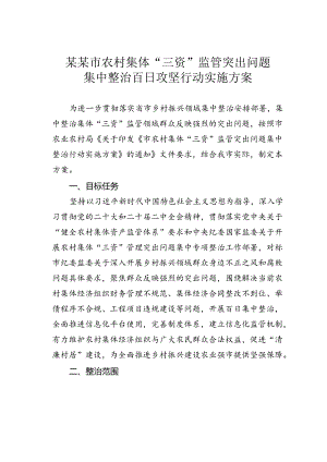 某某市农村集体“三资”监管突出问题集中整治百日攻坚行动实施方案.docx