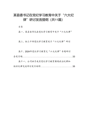 （11篇）某县委书记在党纪学习教育中关于“六大纪律”研讨发言提纲（最新版）.docx