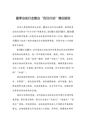 2024年公安夏季治安打击整治“百日行动”阶段性总结报告七篇.docx