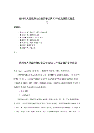德州市人民政府办公室关于加快5G产业发展的实施意见.docx