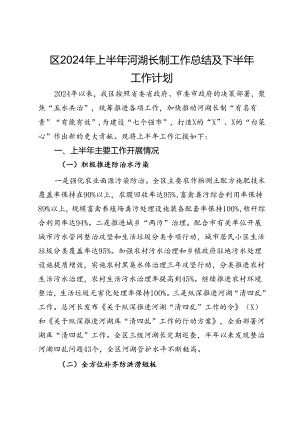 区2024年上半年河湖长制工作总结及下半年工作计划.docx