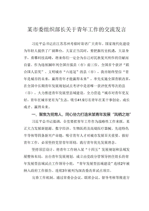 某市委组织部长关于青年工作的交流发言.docx