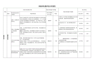 风险和机遇评估分析报告.docx