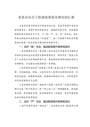 某某市局关于职级政策落实情况的汇报.docx