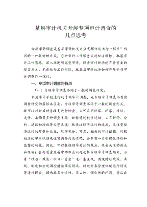 基层审计机关开展专项审计调查的几点思考.docx