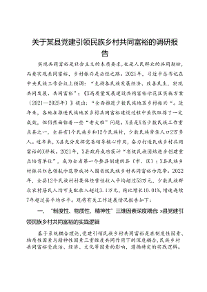 关于某县党建引领民族乡村共同富裕的调研报告.docx
