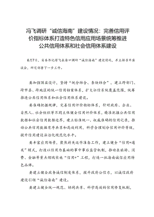 领导讲话∣党政综合：20240607冯飞调研“诚信海南”建设情况：完善信用评价指标体系 打造特色信用应用场景 统筹推进公共信用体系和社会信用体系建设.docx