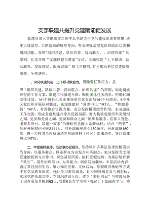 经验分享会上的交流发言：支部联建共提升 党建赋能促发展.docx