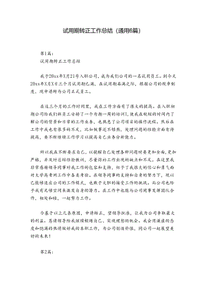 试用期转正工作总结(通用6篇).docx