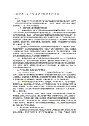 公司党委书记在安委会专题会上的讲话.docx
