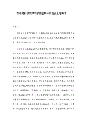 在市局科级领导干部任前集体谈话会上的讲话.docx
