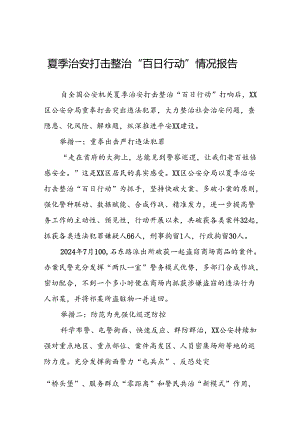 2024夏季治安打击整治“百日行动”工作总结8篇.docx