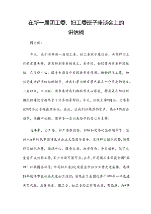 在新一届团工委、妇工委班子座谈会上的讲话稿.docx