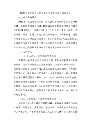 党组书记领办基层党建重点项目推进情况报告.docx
