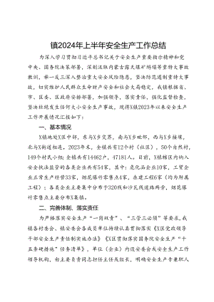 镇2024年上半年安全生产工作总结.docx