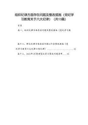 组织纪律方面存在问题及整改措施(党纪学习教育关于六大纪律)（共13篇）.docx