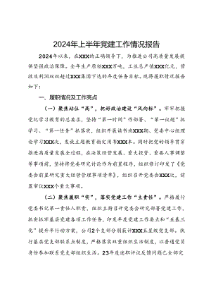 公司2024年上半年党建工作情况报告.docx