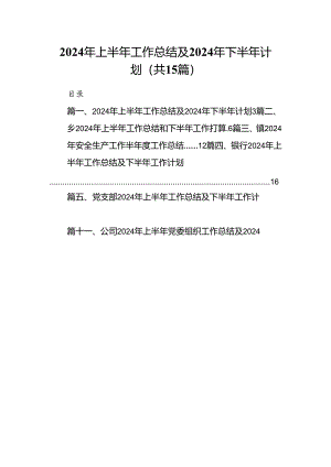 2024年上半年工作总结及年下半年计划15篇（详细版）.docx