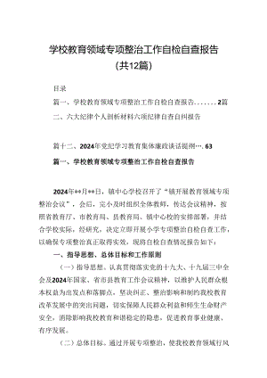 学校教育领域专项整治工作自检自查报告（共12篇选择）.docx