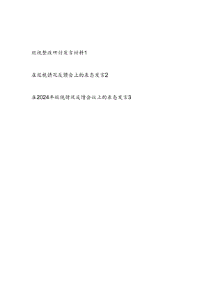 2024巡视整改研讨发言材料和在巡视情况反馈会上的表态发言3篇.docx