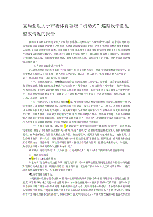 某局党组关于市委体育领域“机动式”巡察反馈意见.docx