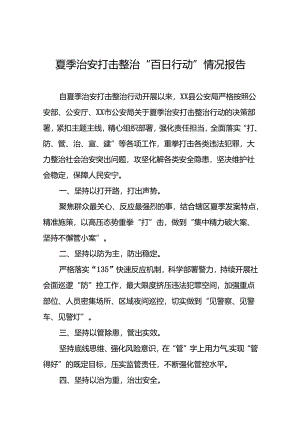 2024公安“夏季治安打击整治行动”情况报告8篇.docx