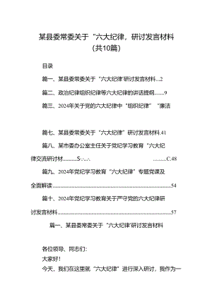 （10篇）某县委常委关于“六大纪律’研讨发言材料范文.docx