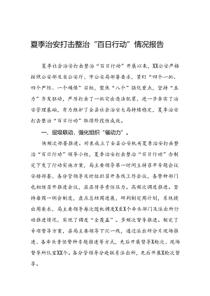 2024年公安夏季治安打击整治“百日行动”阶段性总结报告8篇.docx