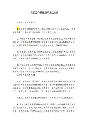 支部工作整改清单集合5篇.docx