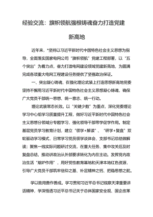 经验交流：旗帜领航 强根铸魂 奋力打造党建新高地.docx