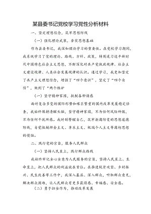 某县委书记党校学习党性分析材料.docx