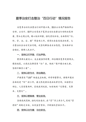 2024公安“夏季治安打击整治行动”情况报告(十篇).docx