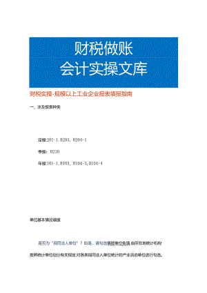 财税实操-规模以上工业企业报表填报指南.docx