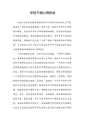 年轻干部心得体会.docx