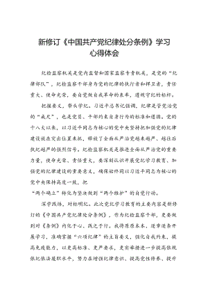 纪检干部关于2024新修订中国共产党纪律处分条例的心得体会七篇.docx
