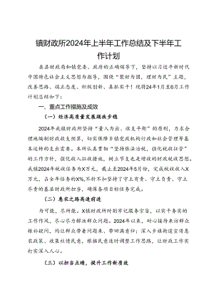 镇财政所2024年上半年工作总结及下半年工作计划.docx