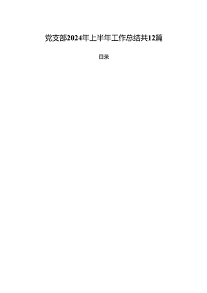 党支部2024年上半年工作总结共12篇.docx