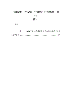 （11篇）“知敬畏、存戒惧、守底线”心得体会样例.docx