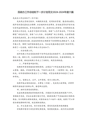 民政办工作总结和下一步计划范文2024-2024年度六篇.docx