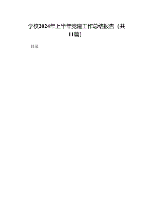 （11篇）学校2024年上半年党建工作总结报告样例.docx