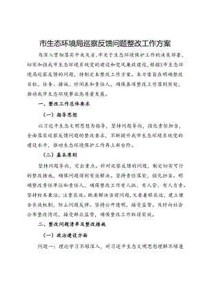市生态环境局巡察反馈问题整改工作方案.docx