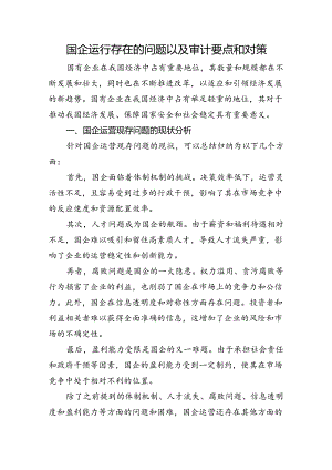 国企运行存在的问题以及审计要点和对策.docx