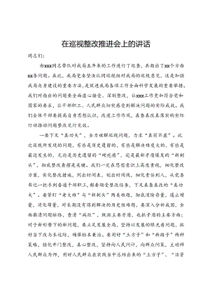 在巡视整改推进会上的讲话.docx