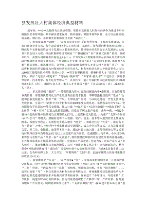 县发展壮大村集体经济典型材料.docx