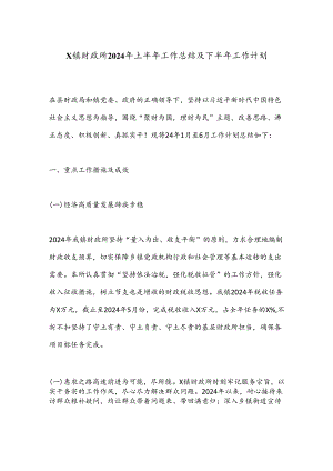 X镇财政所2024年上半年工作总结及下半年工作计划.docx
