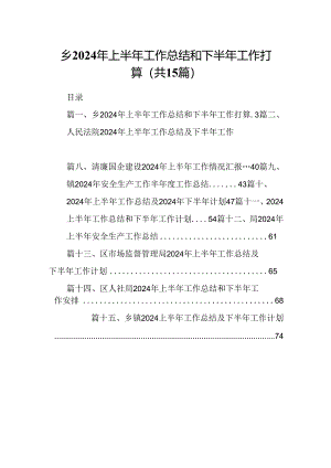 乡2024年上半年工作总结和下半年工作打算（共15篇）.docx